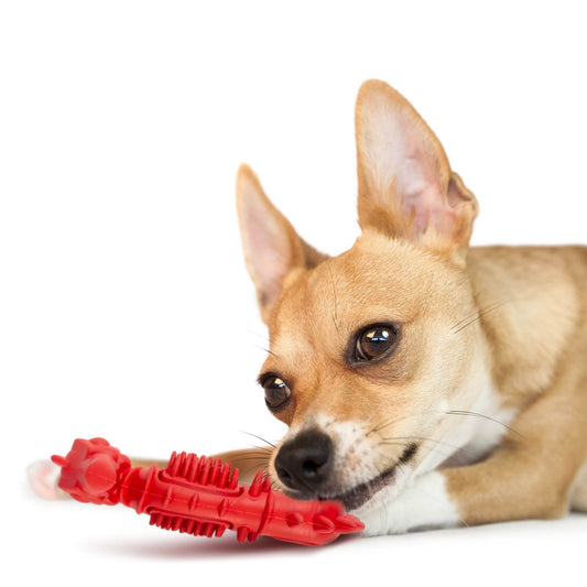 Jeffers Natural Rubber Red Seahorse Dog Dental Chew Toy for Healthy Chewing Habits